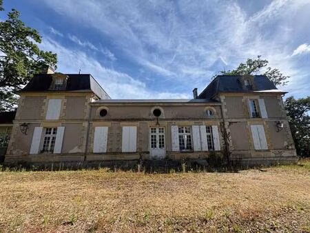 superbe chateau d'exception à rénover  vue panoramique sur la dordogne