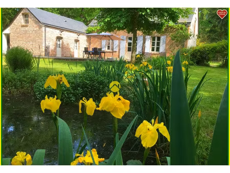 vente maison 10 pièces 137 m² nançay (18330)