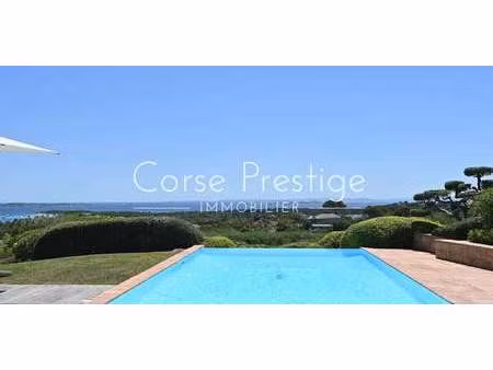 villa avec piscine bonifacio (2a)