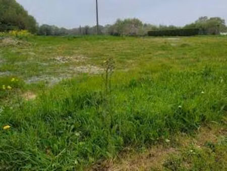 vente terrain à cancale (35260) : à vendre / cancale