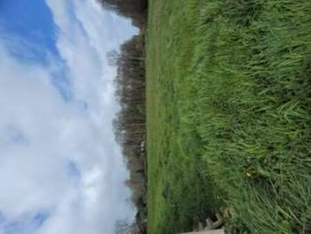 vente terrain à vitré (35500) : à vendre / vitré