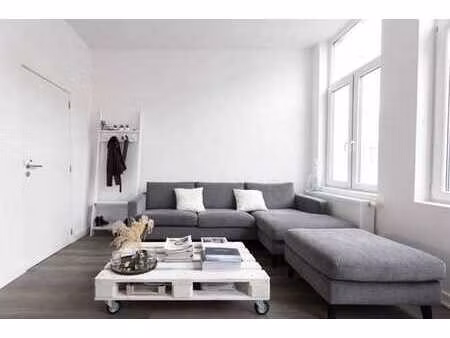 appartement tendance 1 chambre près de la theaterplein