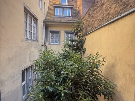 carré d'or ! strasbourg- joli 2 pièces