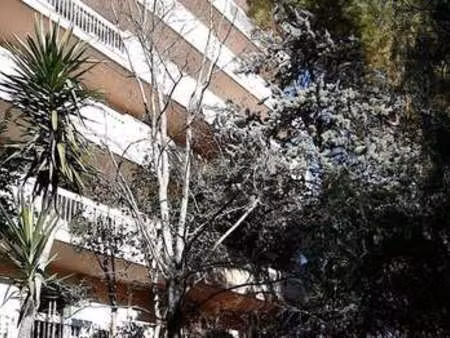 location appartement 2 pièces à montpellier (34000) : à louer 2 pièces / 28m² montpellier