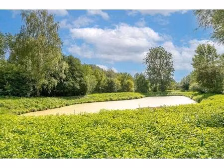 rare sur le secteur – étang privé de 1 250 m2 avec chalet sur plus de 3 300 m2 de terrain 