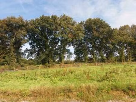 vente terrain à bodilis (29400) : à vendre / bodilis