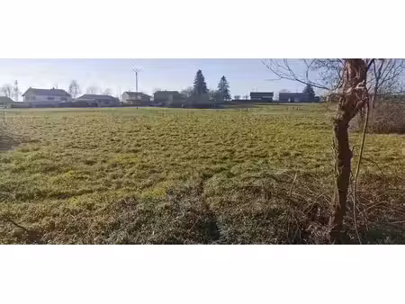 vente terrain 1153 m² à mons (63310)  26 519 €