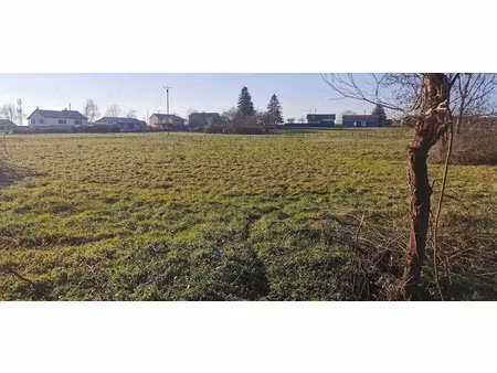 vente terrain 1153 m² à mons (63310)  26 519 €