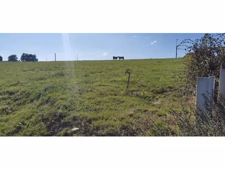 vente terrain 1036 m² à le breuil (03120)  15 540 €