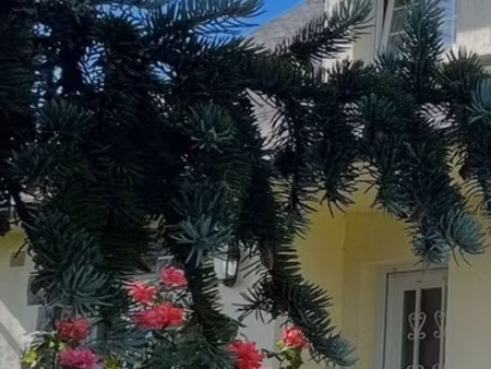 maison à vendre 4 chambres bon repos sur blavet (22)