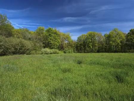 terrain à vendre à rillaar € 125.000 (lpr37) - era janssens & janssens (tielt-winge) | zim