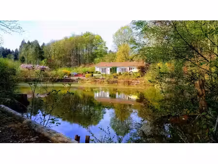 bungalow + jardin + étang