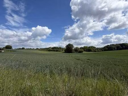 superbe terrain agricole de 5 hectares situé à bierges