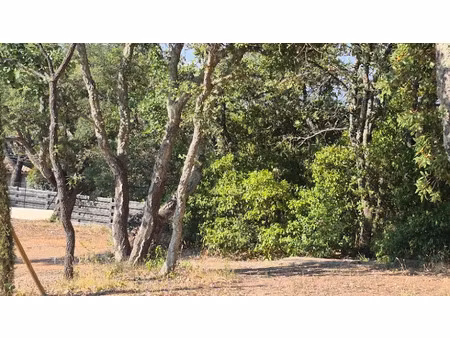 vente terrain 1050 m² à saint-raphael (83700)  550 000 €
