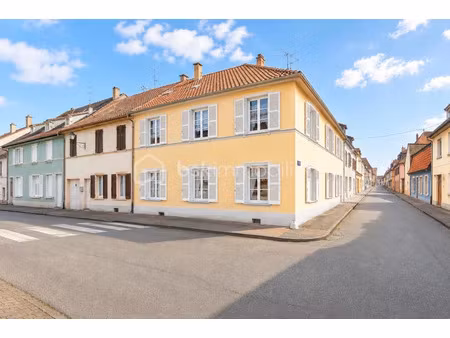 vente immeuble 8 pièces 188 m² à neuf-brisach (68600)  214 000 €