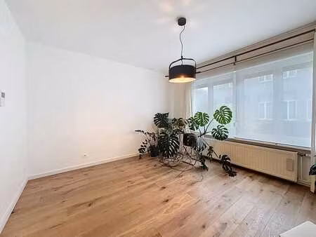maison de 3 chambres à louer à anvers-nord