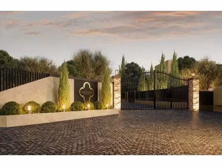soleil sur la terrasse  calme sous les pins — villa contemporaine à mougins