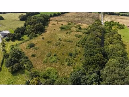 terrain de 3 6 ha avec hangar 260 m² sur dalle béton - charpente bois - accès poids...