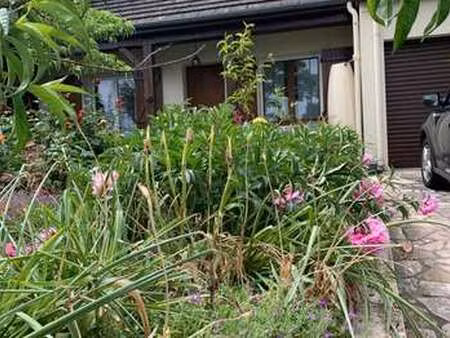vente maison à laval (53000) : à vendre / 70m² laval