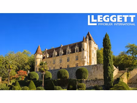 achat maison 28 pièces 1 021m² carlux 24370