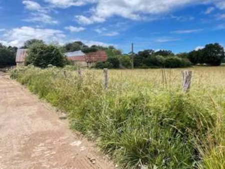 vente maison à mortagne-au-perche (61400) : à vendre / 200m² mortagne-au-perche