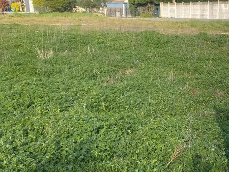 vente terrain 900 m² le taillan-médoc (33320)