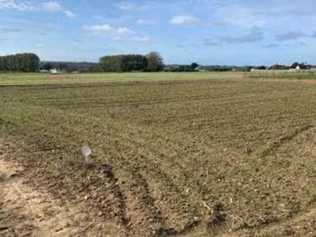 vente terrain à plougar (29440) : à vendre / plougar