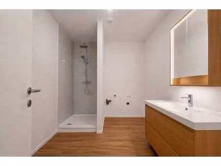 appartement 2 ch à seraing  peb b  rénové