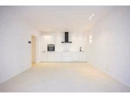 instapklaar volledig gerenoveerd appartement.