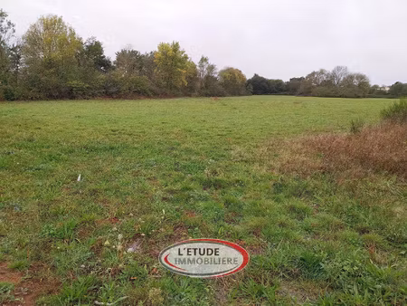 ste pazanne : 500 du bourg  terrain de 429 m2  libre de cons