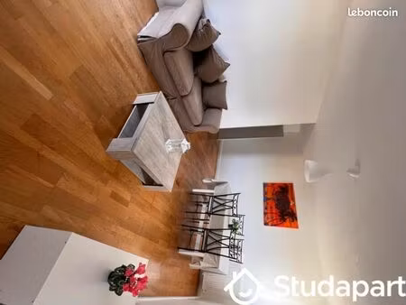 chambre 1 pièce 11 m²
