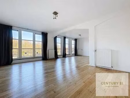 (centre) appartement lumineux 1 chambre et terrasses
