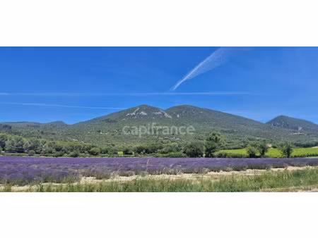 maison à vendre rustrel 5 pièce(s) 106m2 77 880€