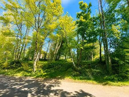 magnifique terrain de +/- 20a