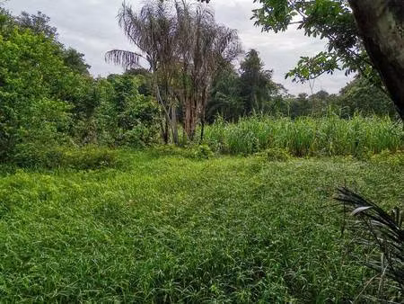 terrain constructible à vendre - neuf