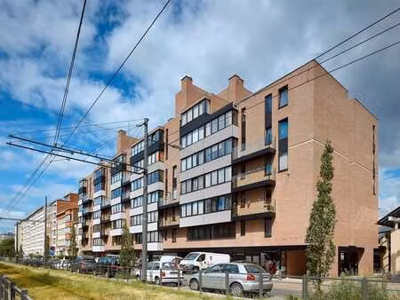 appartement rénové