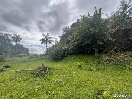 terrain 1000 m² bras-panon