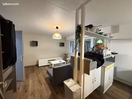 appartement colmar centre 29 m²