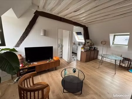 harmant duplex de caractère – rouen centre (quartier musée des beaux-arts)
