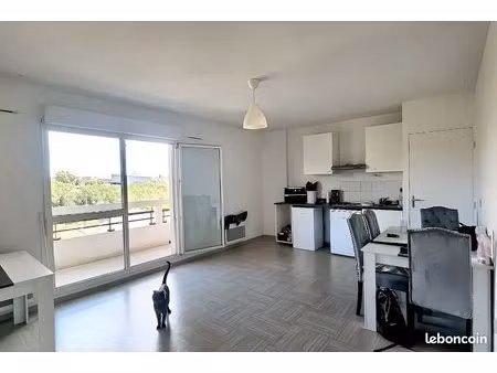 appartement t1