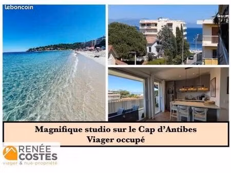 appartement en viager 1 pièce 30 m²