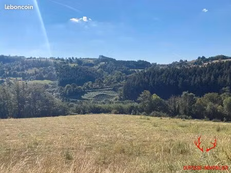 terrain 10050 m² cours