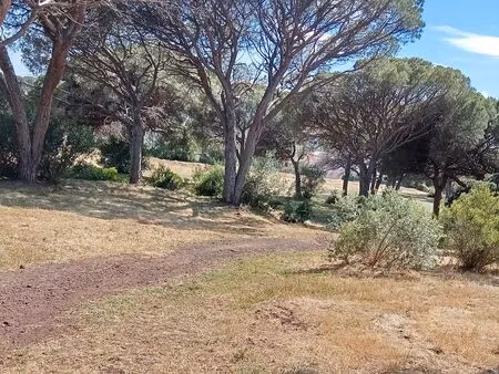 maison frejus