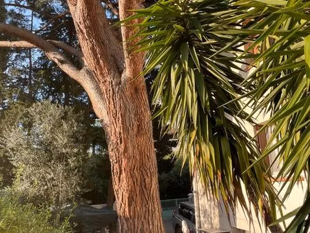 unique  bas de maison centre port au calme dans la nature