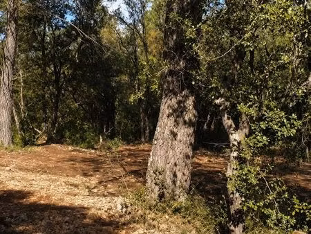 terrain 7807 m² saint-maximin-la-sainte-baume
