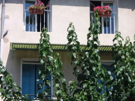 manosque  joli t2 meublé centre ville