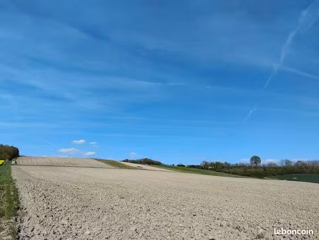 rare – vignoble de 4 80 ha plein sud – sud ardennes
