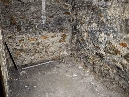 cave saine de 5 45 m² – paris 5e – jardin des plantes