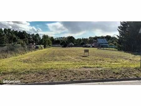 terrain constructible