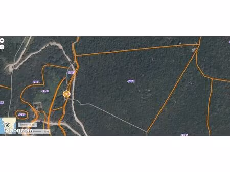 importante parcelle très boisée à 30mn est d'ajaccio